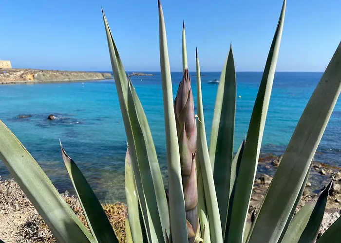 Ocean View- Casa Freya Con Vista Al Mar- Modernes Haus Mit Meerblick Und Dachterrasse