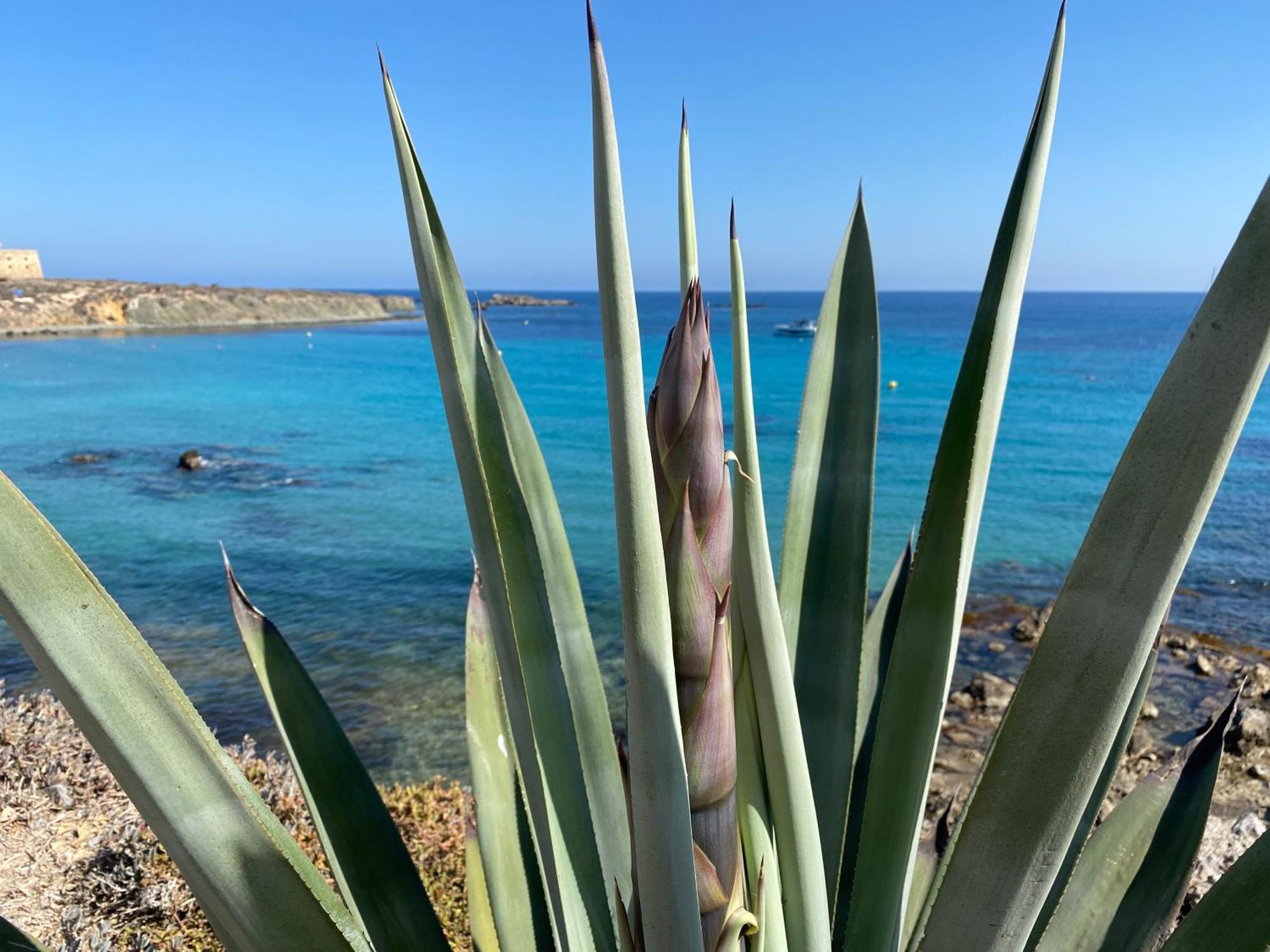 Dom wakacyjny Ocean View- Casa Freya Con Vista Al Mar- Modernes Haus Mit Meerblick Und Dachterrasse *
